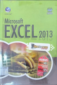 Microsoft Excel 2013